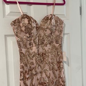 Rose hose sequin maxi gown